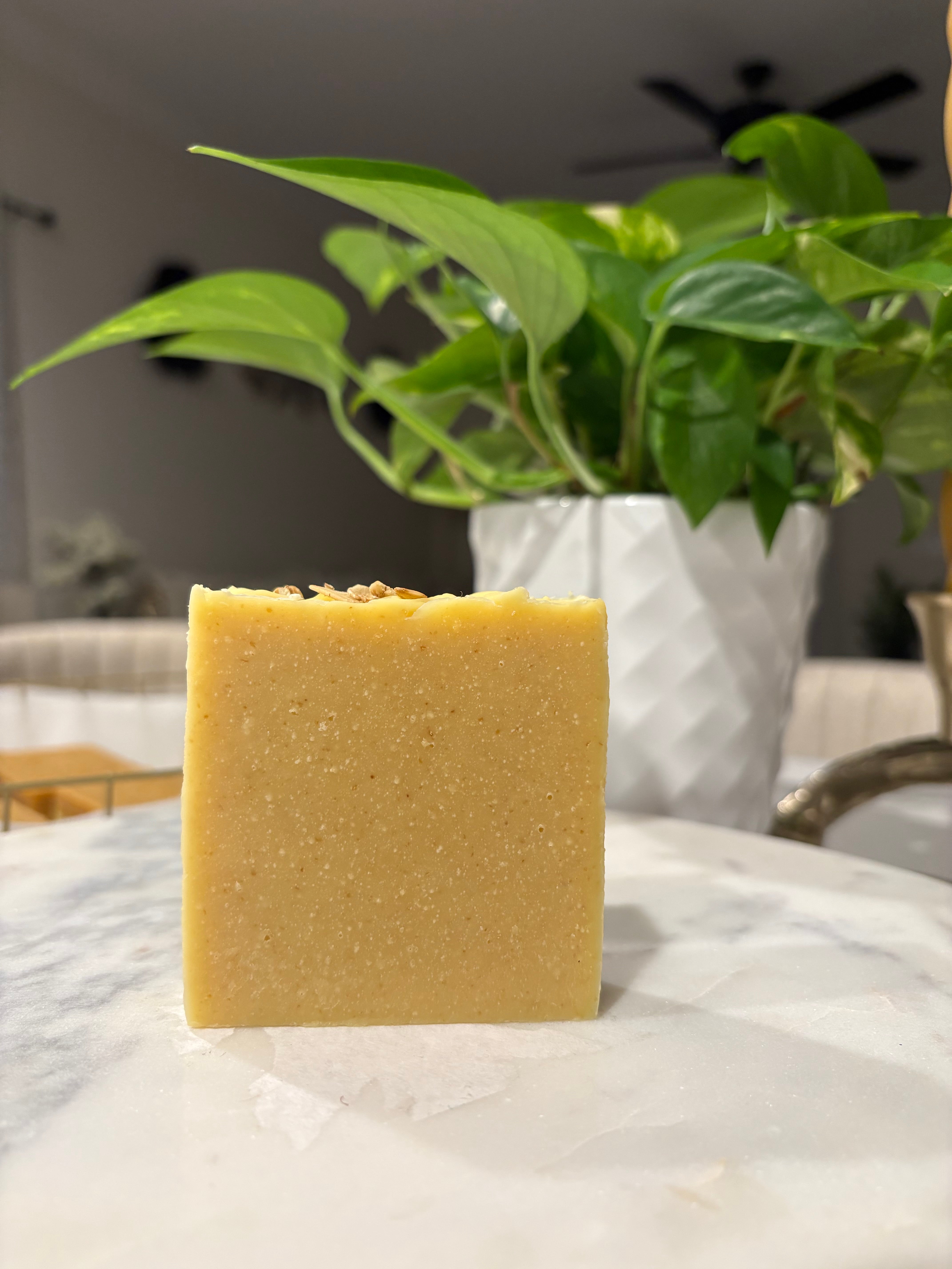 VÉRA-Oat Cuddle Bar